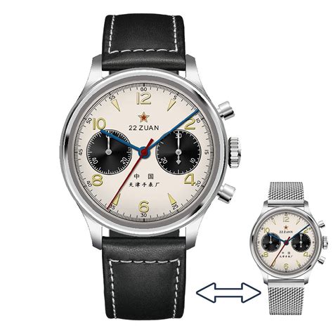 seagullwatchcompany.com